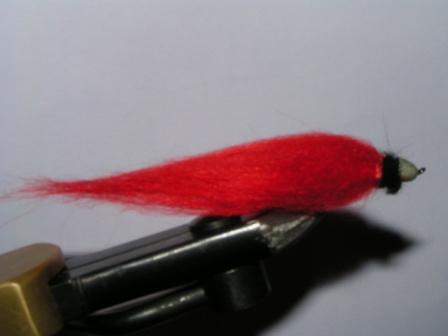 PICT0240.JPG