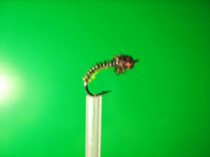 IMG_0271.jpg