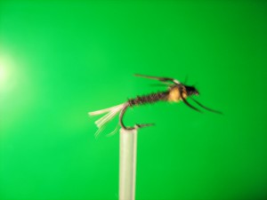 IMG_0280.jpg