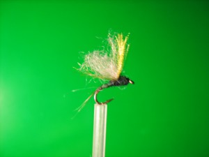 IMG_0281.jpg