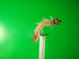 IMG_0293.jpg