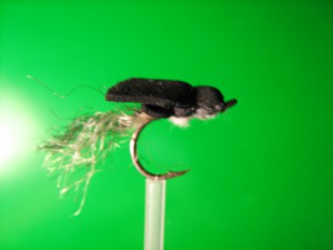 IMG_0296.jpg