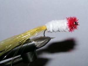 PICT0234.JPG