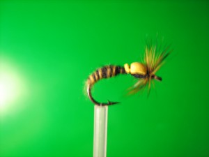 IMG_0300.jpg