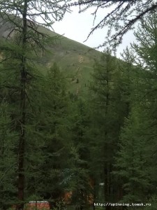 IMG_20180630_080419.jpg