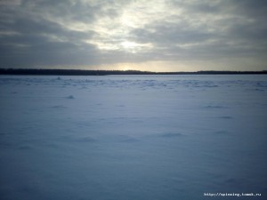 IMG_20181118_110208.jpg