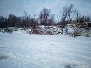 IMG_20181118_110234.jpg
