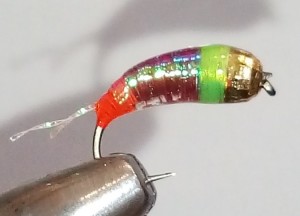 P81123-162842.jpg