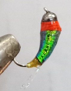 P81123-154151.jpg