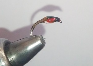 P81126-163244.jpg
