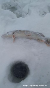 IMG-20181124-WA0012.jpeg