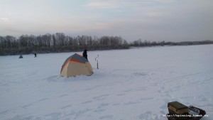 IMG-20181124-WA0003.jpeg