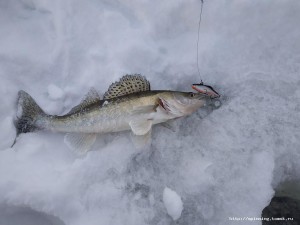 IMG_20181207_115547.jpg