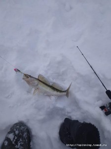 IMG_20181207_134149.jpg