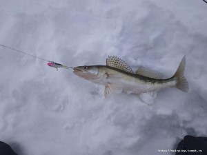 IMG_20181207_134154.jpg