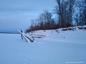 IMG_20181210_095415.jpg