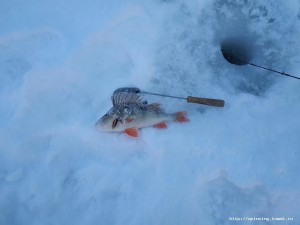 IMG_20181210_095406.jpg