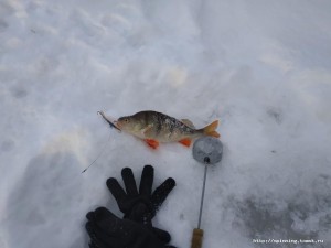 IMG_20181210_113027.jpg