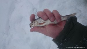 IMG-20190107-WA0010.jpeg