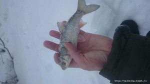 IMG-20190107-WA0012.jpeg