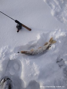 IMG_20190125_133952.jpg