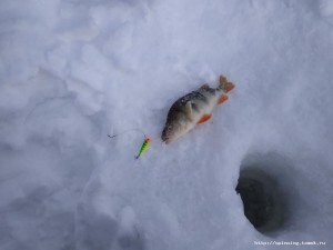 IMG_20190130_142146.jpg