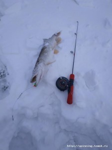 IMG_20190130_162942.jpg