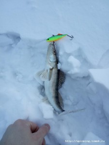 IMG_20190223_083159.jpg