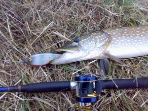 Изменение размера Изменение размера 17102009156.jpg