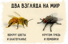 Пчела и муха.jpg