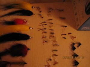 IMG_0683.JPG