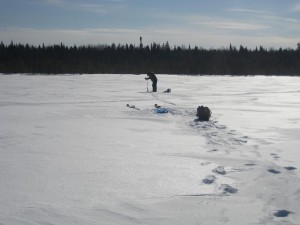 IMG_9798.JPG