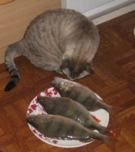 вкусно.jpg
