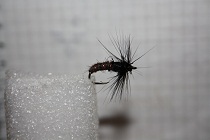 IMG_1578.JPG