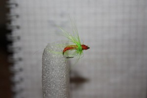 IMG_1579.JPG