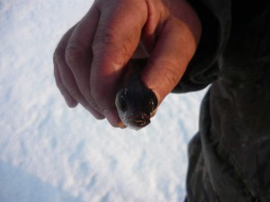 P1010940_thumb.jpg