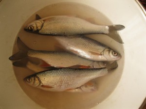28042011.jpg