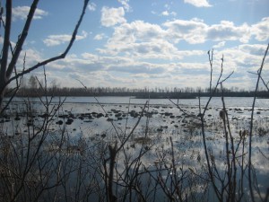 IMG_0202.JPG