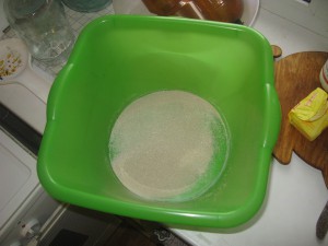 IMG_2783.jpg