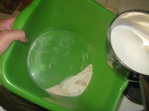 IMG_2792.jpg