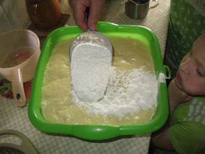 IMG_2819.jpg