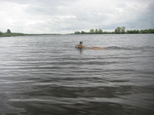 IMG_0420.JPG