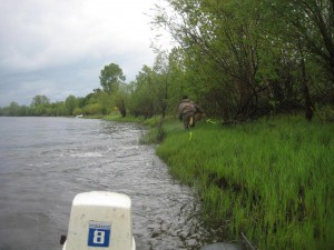 IMG_0423.JPG
