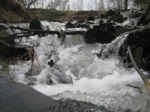 IMG_0355.jpg