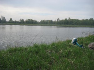 IMG_0385.jpg