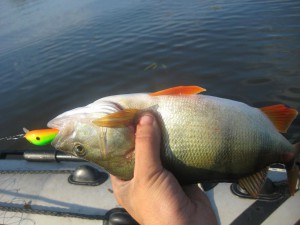IMG_0693.JPG
