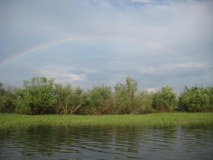 IMG_0696.JPG