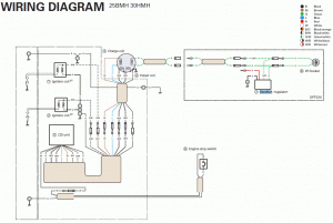 30hmh-01.gif