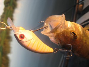 IMG_0715.JPG