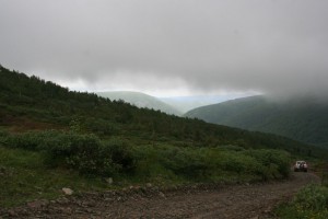 IMG_0035.jpg